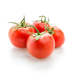 Tomato isolated on white