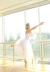 Beautiful balerina practicing in ballet class © Africa Studio
