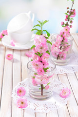 Beautiful fruit blossom in glass on table on light background
