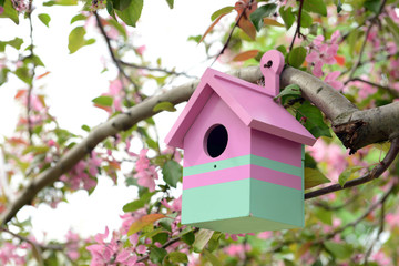 Birdhouse in garden outdoors