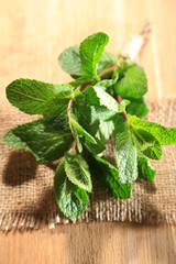 Mint on wooden background