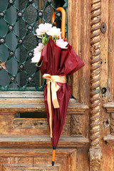 Beautiful tulips in umbrella on old wooden doors