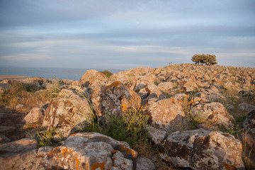 galilee landscape