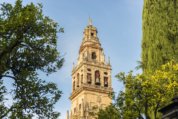Fototapeta na wymiar Meczet Katedra w Kordobie, w Hiszpanii, w Andaluzji