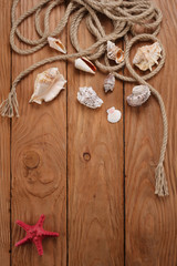 rope shells starfish on wooden boards