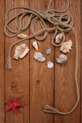 rope shells starfish on wooden boards