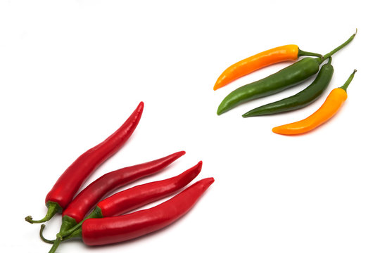 Chilis sortiert