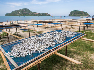 Fish dry in the sun