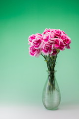 カーネーション