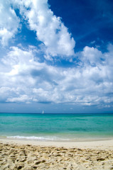 Fototapeta premium tropical sea