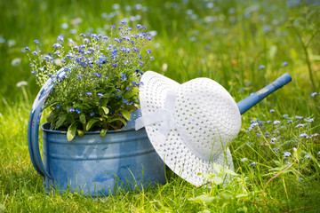 Gartenzeit