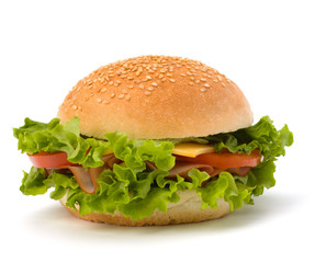 Junk food hamburger