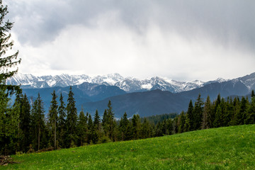 Tatra panorama