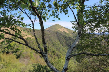monte Palanzone dalla capanna Mara