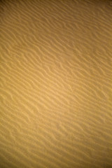 Desert sand