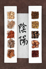 Yin and Yang Herbal Medicine
