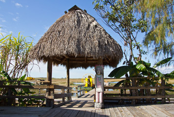 Fototapeta na wymiar Everglades, Miccosukee Indian Camp