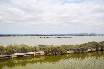 la camargue