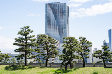 Obraz na płótnie Canvas Skyscrapers and japanese garden in Tokyo Japan