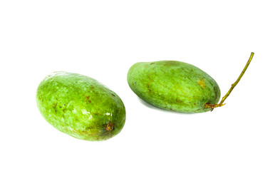 two mango isolated