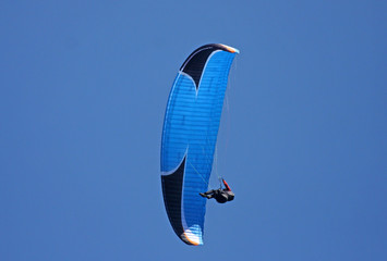 paraglider