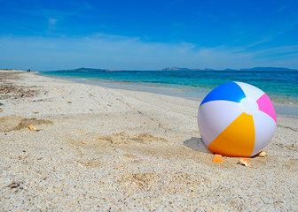 Obraz premium ball on the shore