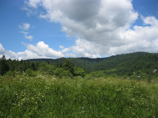 Fototapeta na wymiar view to Carpathian mountains