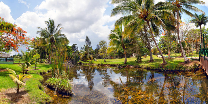 cuban country landscape