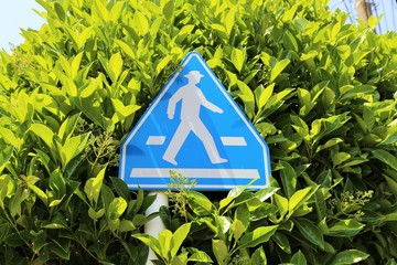 Japanese Pedestrian Crossing Sign