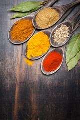 Obraz na płótnie Canvas Spices. Spice Curry, chili, coriander, bay leaf.