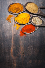 Spices in the spoons. Spice Turmeric, paprika, coriander, masala