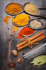 Fototapeta na wymiar Spice. Spices Turmeric, chili, cinnamon, coriander, nutmeg.