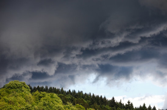heavy storm clouds above forest