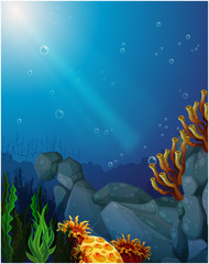 Fototapeta na wymiar Corals and seaweeds under the sea
