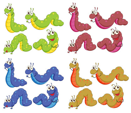 A group of caterpillars