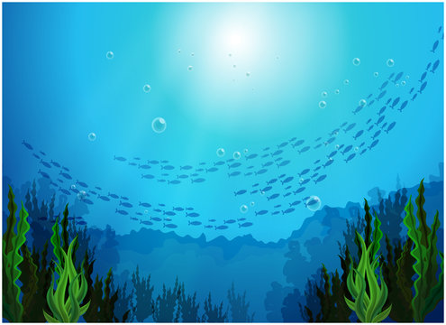 School of fishes under the sea