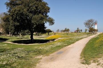 saint martin de ré