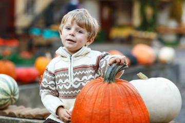 Little boy sitting on pumpkin patch