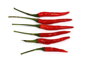 Hot red chili peppers