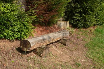 Bank aus Baumstamm am Wegrand