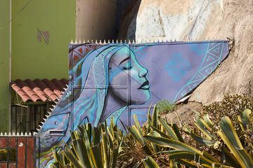 Mural decorating the streets of Valparaiso