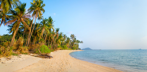 Untouched tropical beach