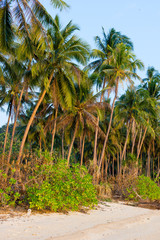 Obraz na płótnie Canvas Untouched tropical beach