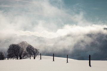 Winter im Schwarzwald