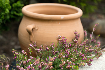 Ceremic jug in garden
