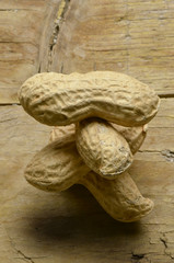 Arachis hypogaea ラッカセイ Арахис культурный
