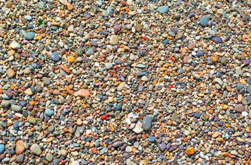 Small rocky cover the sea coast