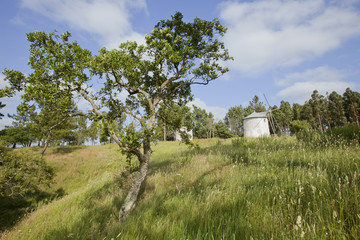 The Magical infrared efex