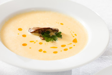 cream soup