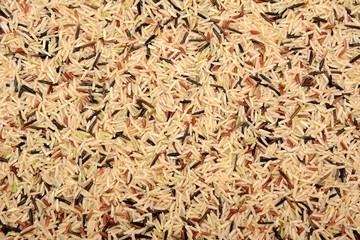 Wild rice, brown basmati and red camargue background
